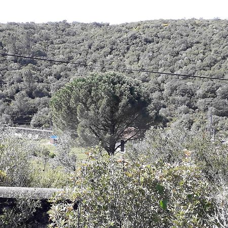 Quinta Da Silva Villa Vale dos Ovos Luaran gambar