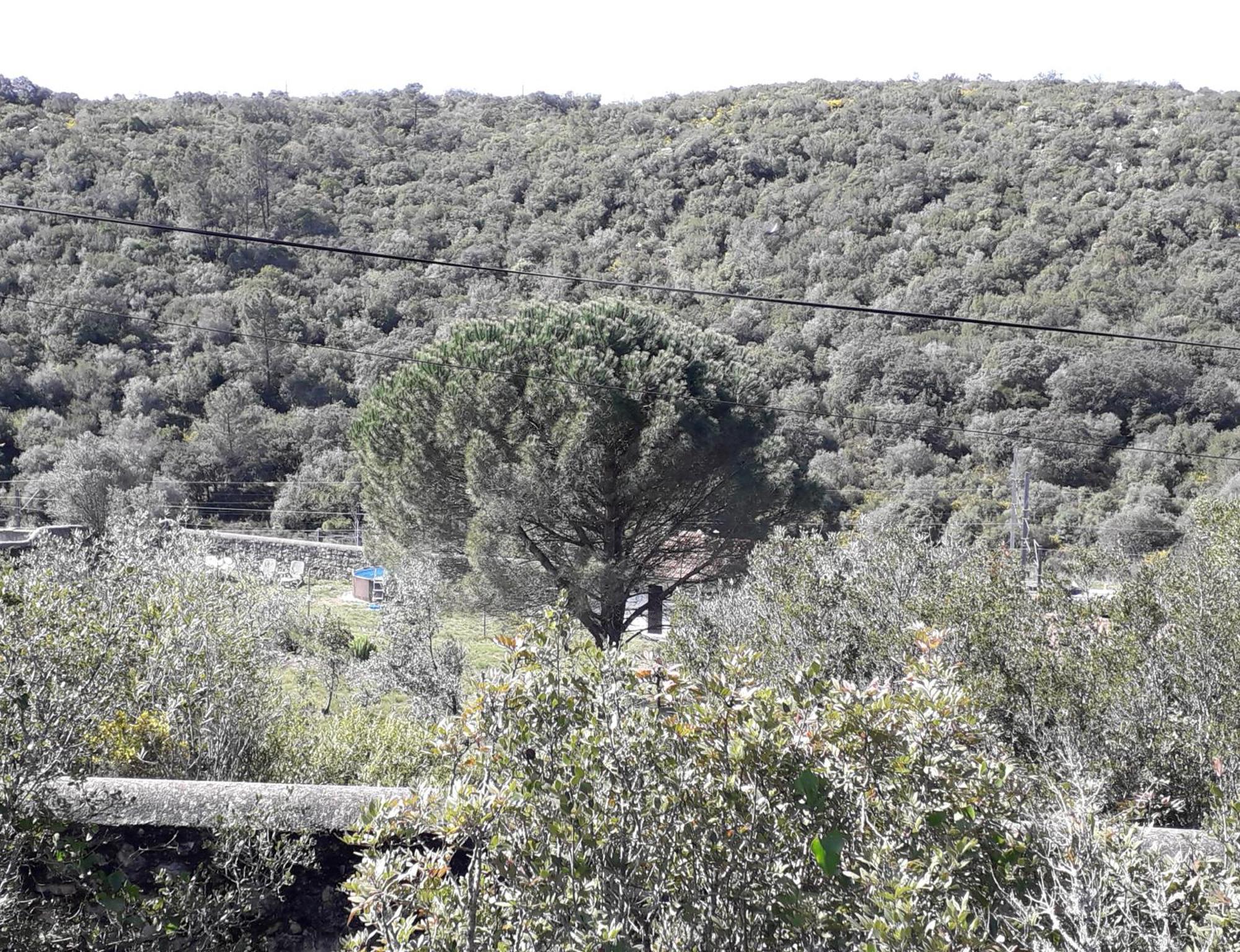 Quinta Da Silva Villa Vale dos Ovos Luaran gambar